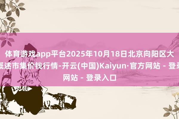 体育游戏app平台2025年10月18日北京向阳区大洋路概述