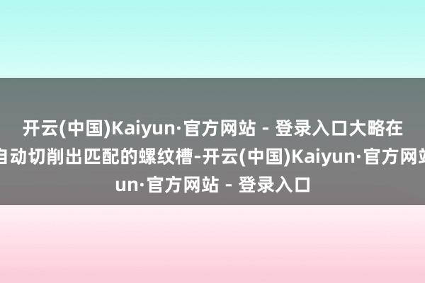开云(中国)Kaiyun·官方网站 - 登录入口大略在旋入过