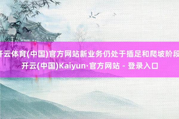 开云体育(中国)官方网站新业务仍处于插足和爬坡阶段-开云(中国)Kaiyun·官方网站 - 登录入口